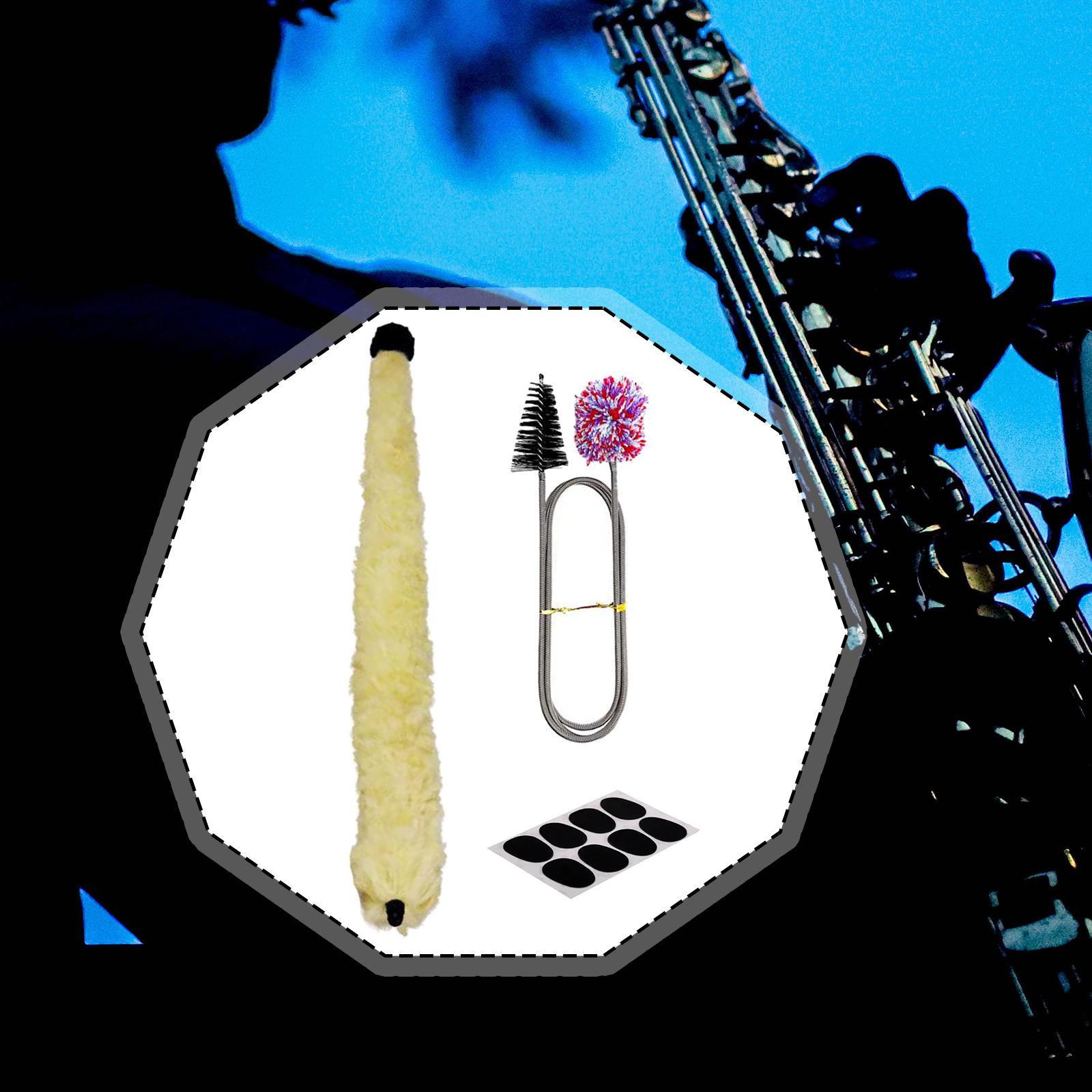 Clarinet Cleaning Kit Reusable - Clarinet Care Kit 评论和价格