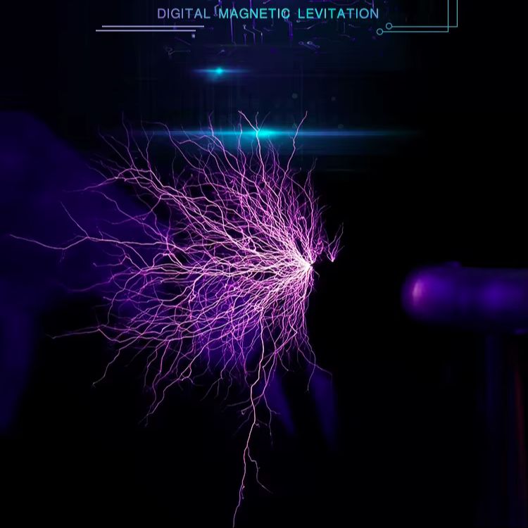 Tesla Coil 220V Portable 1.5kg - Audio Music Generator 评论和价格