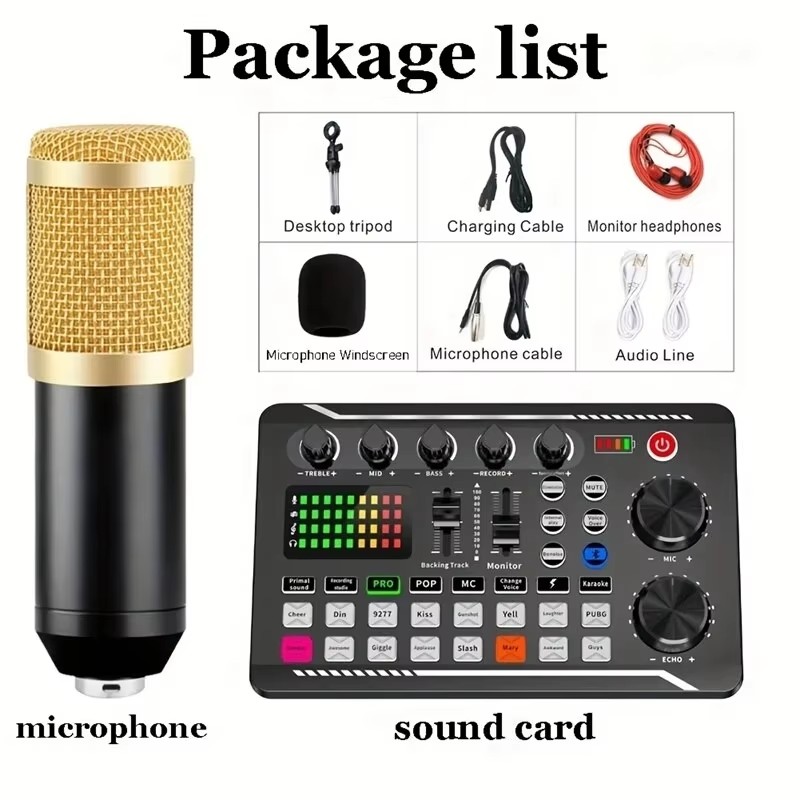 Condenser Microphone Professio - Audio Music Changer 评论和价格